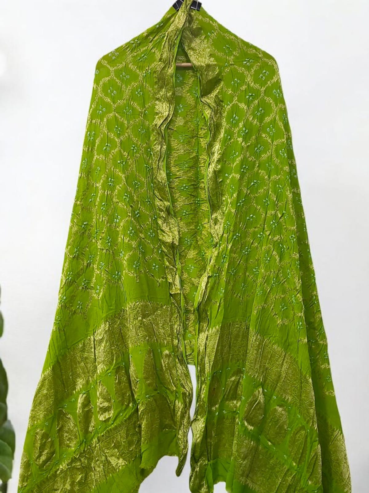 BROACH BANARSI GHATCHOLA DUPATTA main image 0