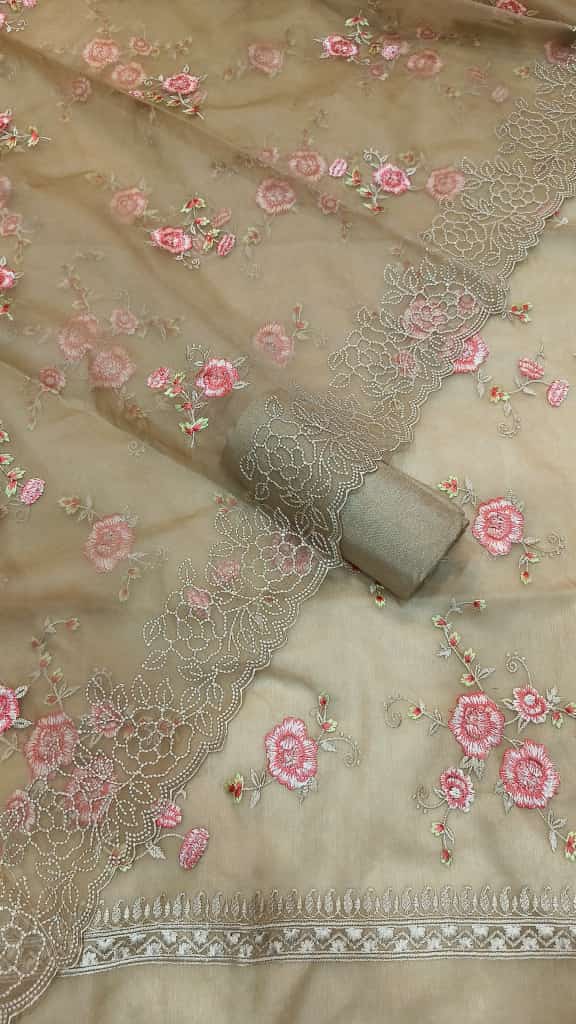Banarasi Organza Silk Embroidery Salwar Suit